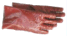 Rough Paw
